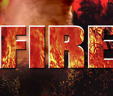 Fire (2005)