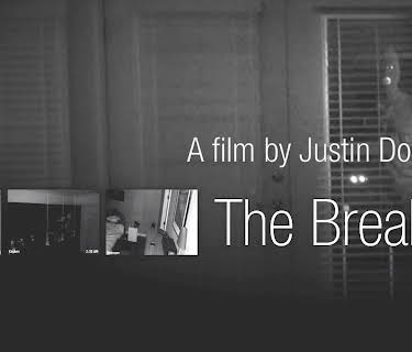 The Break-In (2016)
