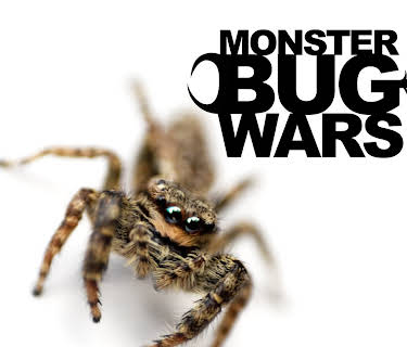 Monster Bug Season 1