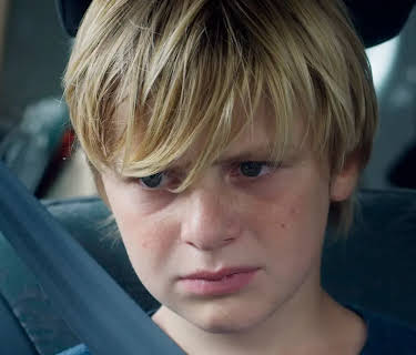 Custody (2018)