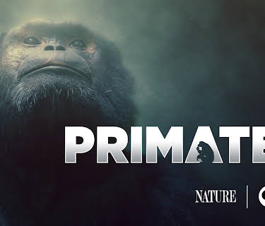 Primates