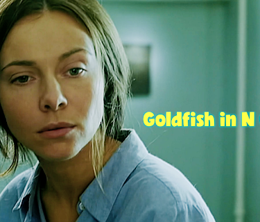 The Goldfish in N City (2011)
