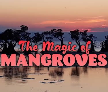 The Magic of Mangroves (2020)