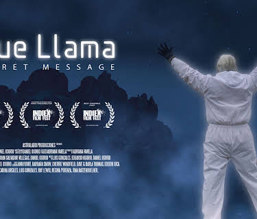 The Blue Llama Secret Message (2022)