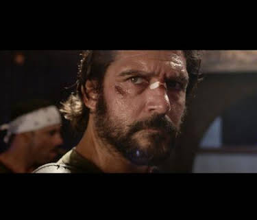 Vigilante Diaries (2016)