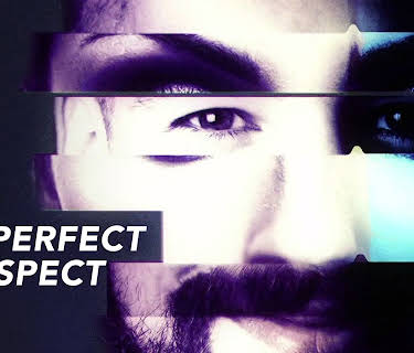 The Perfect Suspect Season 1