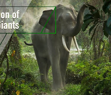 Bastion of the Giants (2015)