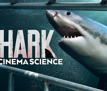 Shark Cinema Science (2022)