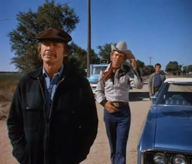 Mr. Majestyk (1974)