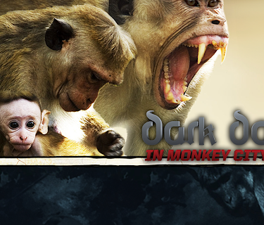Dark Days in Monkey City Season 1