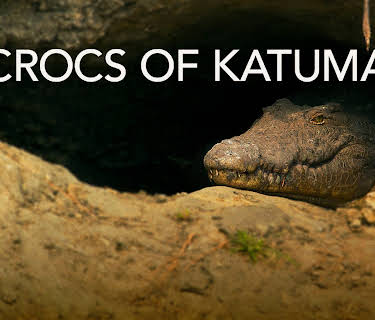 Crocs of Katuma (2010)