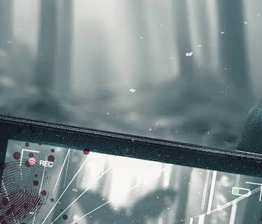 Moth (2017)