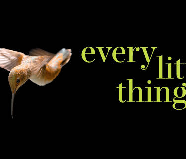 Every Little Thing (2025)