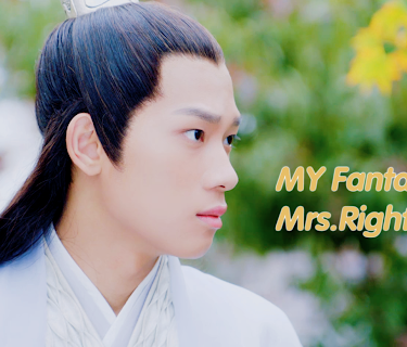 My Fantastic Mrs.Right