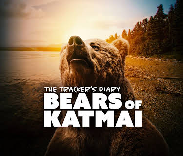 The Tracker's Diary: Bears of Katmai