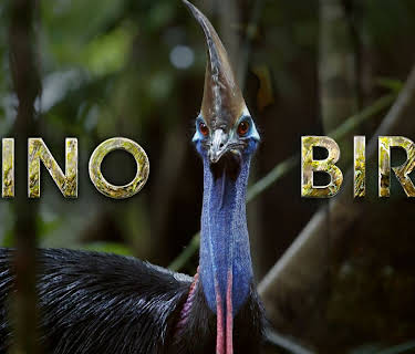 Dino Bird (2017)