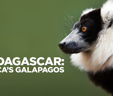 Madagascar: Africa’s Galapagos (2019)