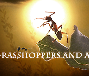Grasshoppers and Ants (2018)