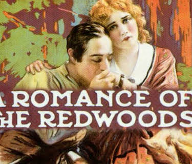 A Romance of the Redwoods (1917)