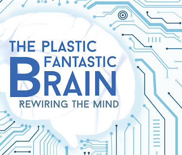 The Plastic Fantastic Brain (2019)