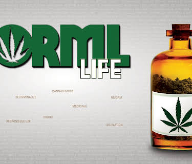 A NORML Life (2011)