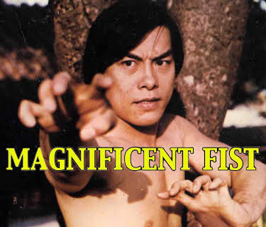 Magnificent Fist (1978)