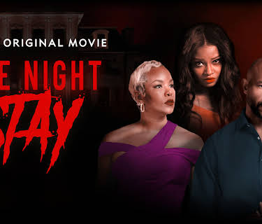 One Night Stay (2024)