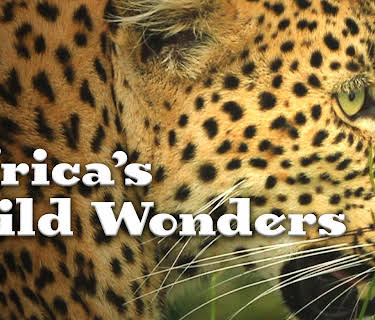 Africa's Wild Wonders