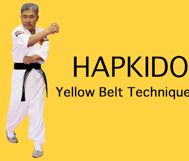Song's Hapkido Yellow Belt Techniques