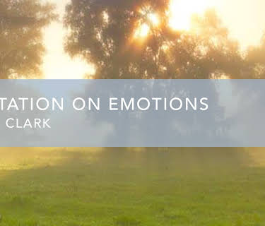 Meditation On Emotions (1990)