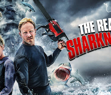 The Real Sharknado