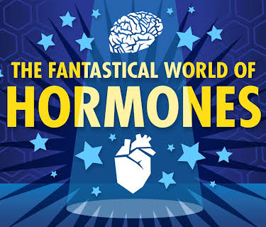 The Fantastical World of Hormones (2021)