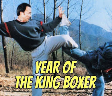 Kickboxer King (1991)
