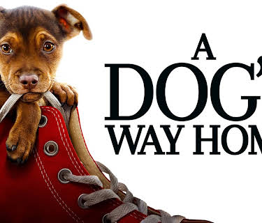 A Dog's Way Home (2019)