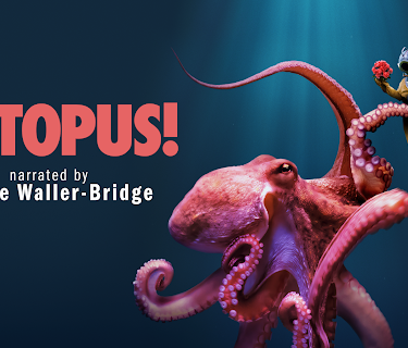 Octopus!