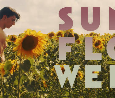 Sunflower (2024)