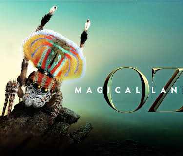 Magical Land of Oz: Season 1