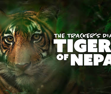 The Tracker’s Diary: Tigers of Nepal