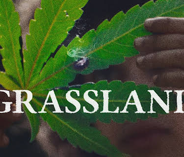 Grassland (2025)
