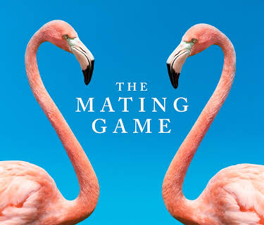 The Mating Game, Season 1