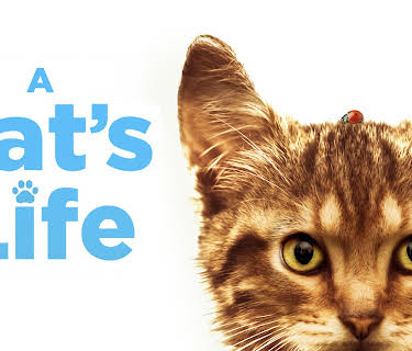 A Cat's Life (2024)