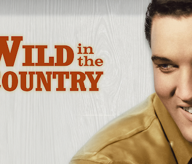 Wild In The Country (1961)
