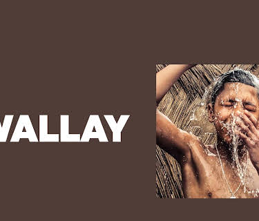 Wallay (2017)