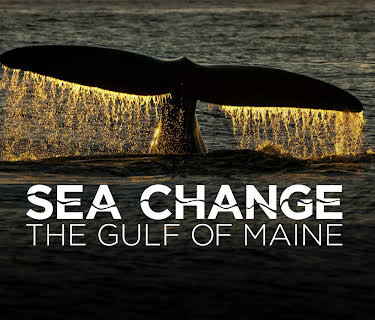 Sea Change: The Gulf of Maine, A NOVA Special Presentation, Season 1