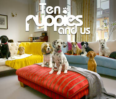 10 Puppies And Us