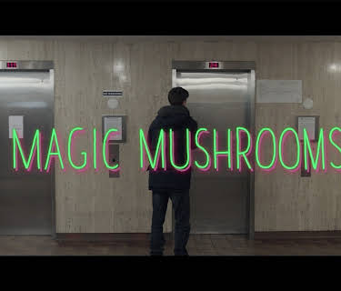 Magic Mushrooms (2017)