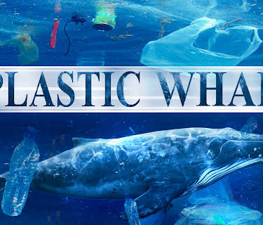A Plastic Whale (2017)