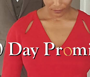 30 Day Promise (2017)