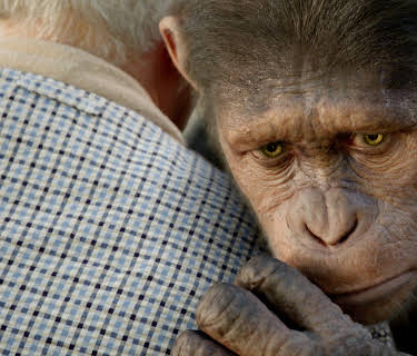 Rise Of The Planet Of The Apes (2011)