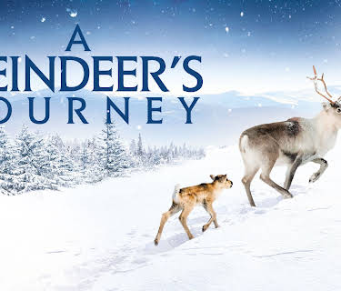 A Reindeer's Journey (2019)